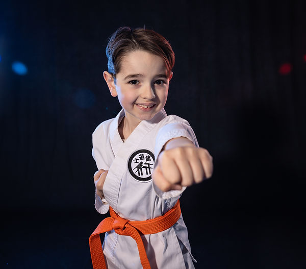 Main image of Alpha Martial Arts Academy