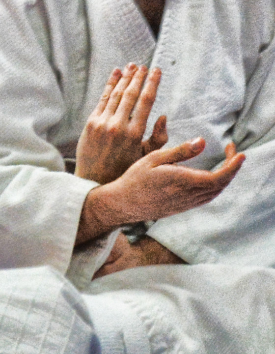 Main image of Alta Escuela de Aikido Tsuki Kai