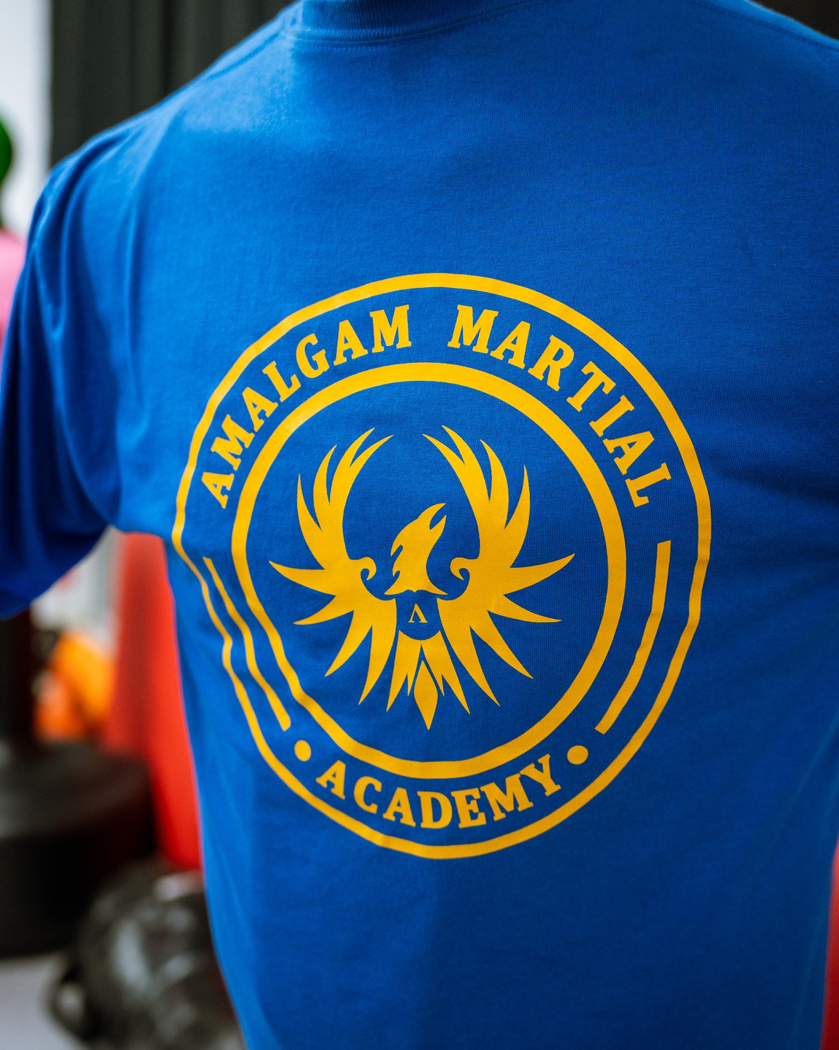 Main image of Amalgam Martial Academy