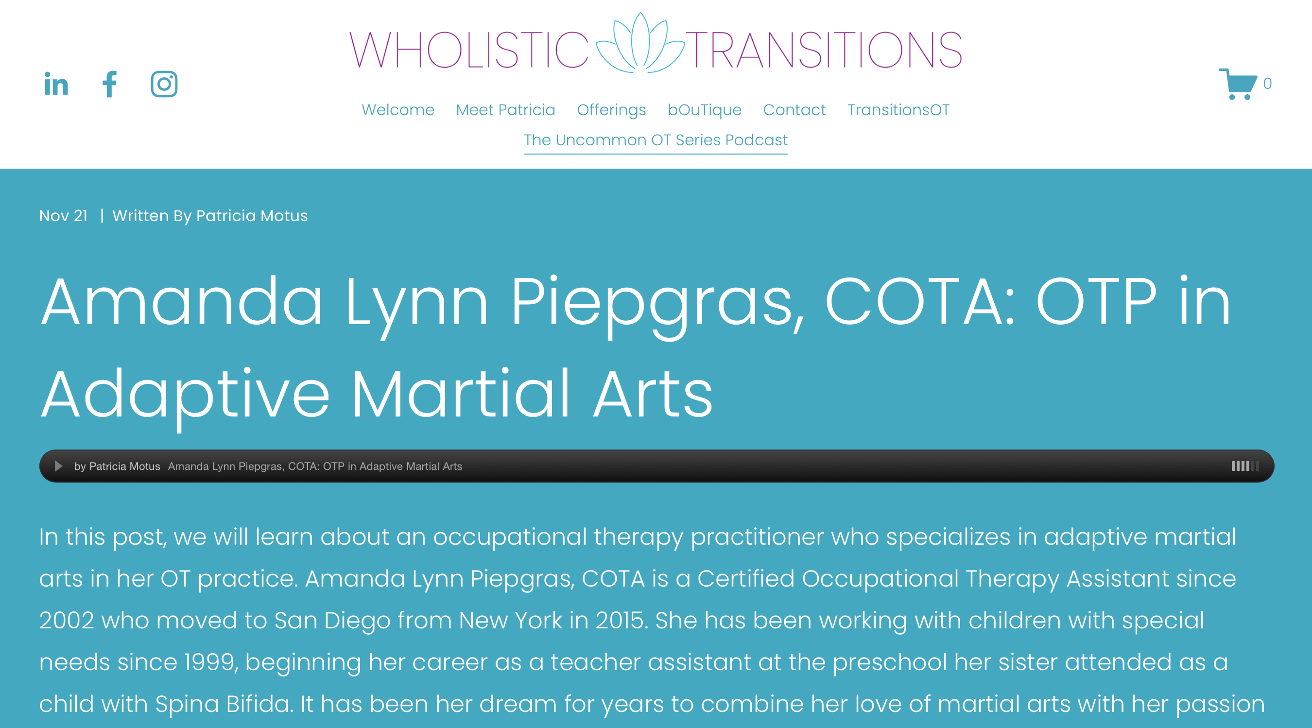 Main image of Amanda's Adaptive Martial Arts