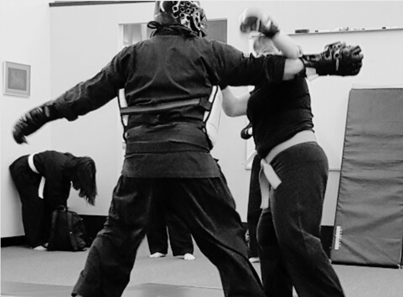 Main image of American Karate Escrima Association