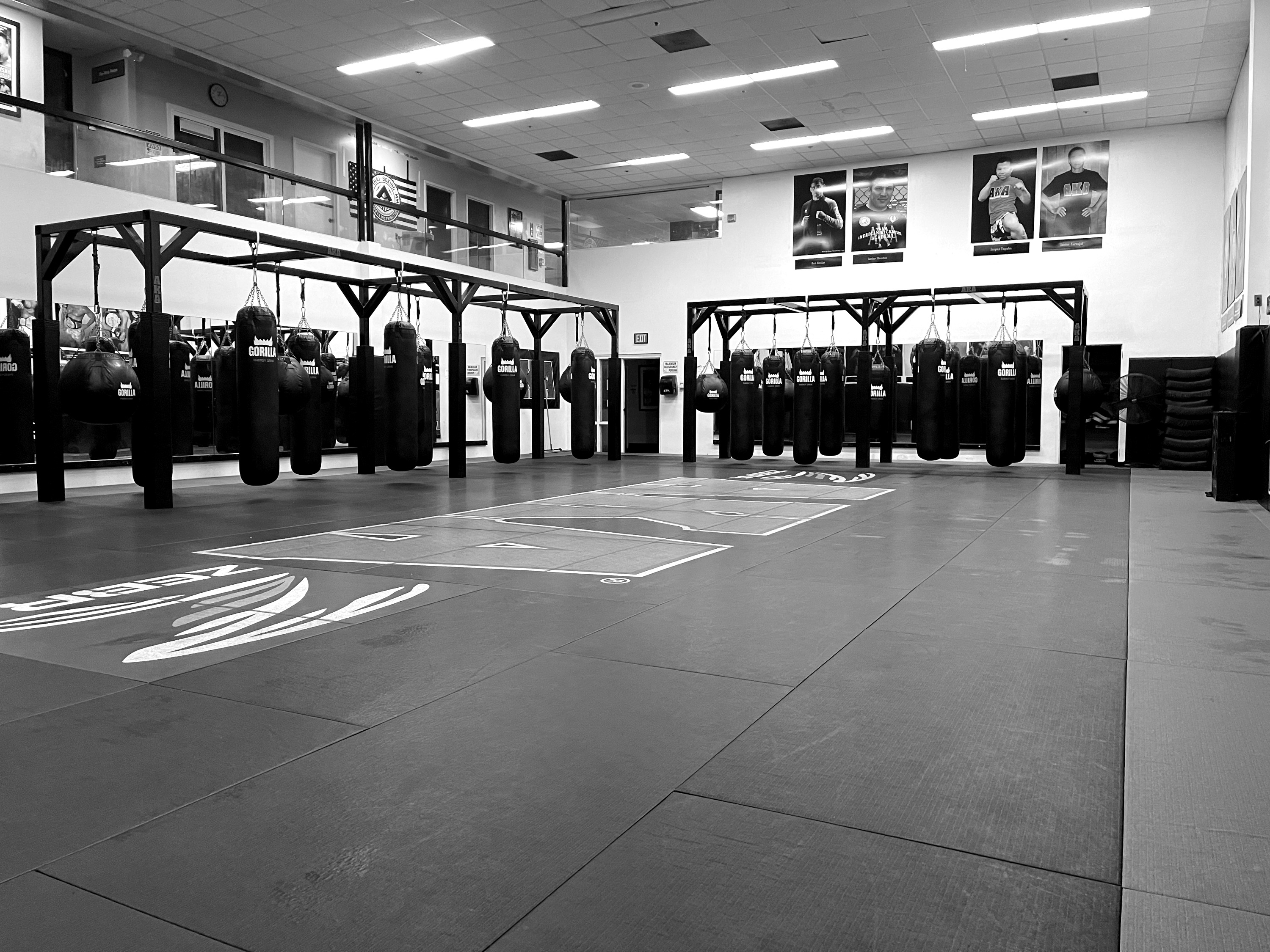 American Kickboxing Academy academy photo