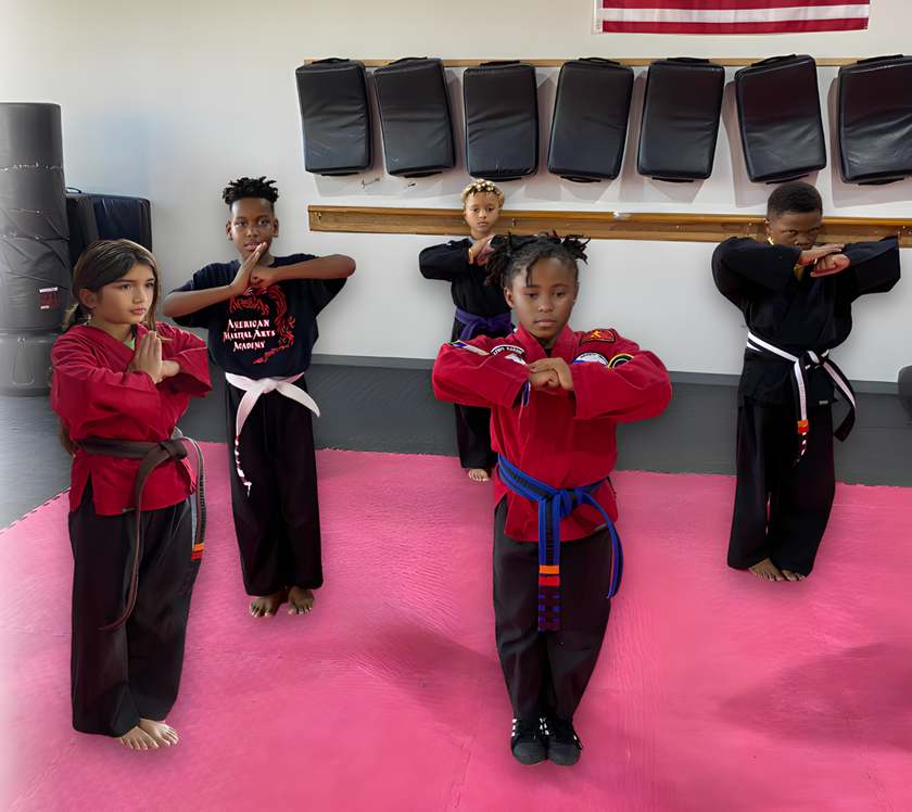 Main image of American Martial Arts Academy