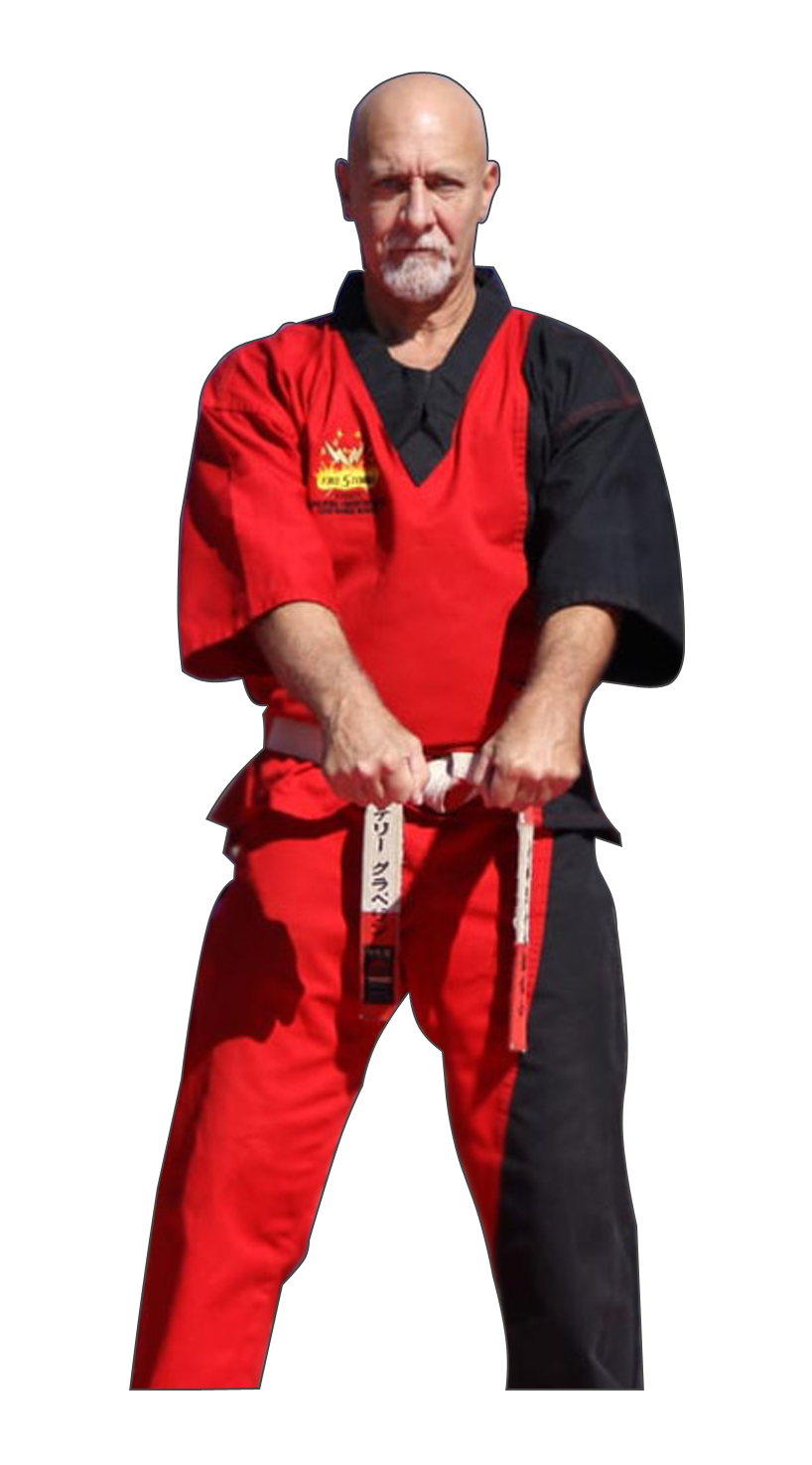 Main image of American Martial Arts Institute