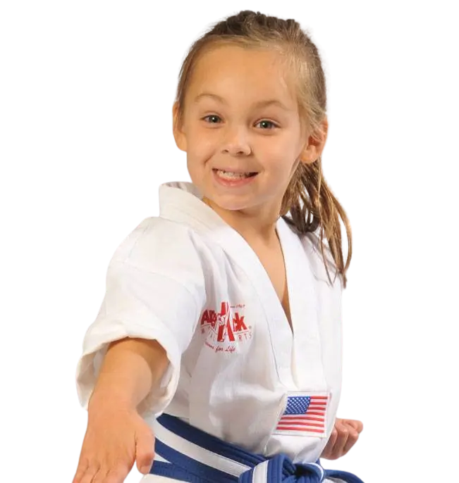 Main image of Amerikick