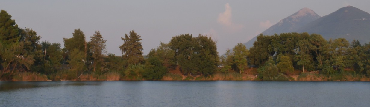 Main image of ANCRE DE CHINE
