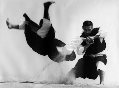 Main image of Ann Arbor Shorinji Kempo