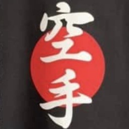 Main image of Anshin Karate Centre