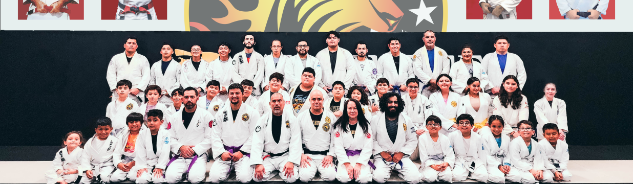 Main image of Anzelone Jiu-Jitsu