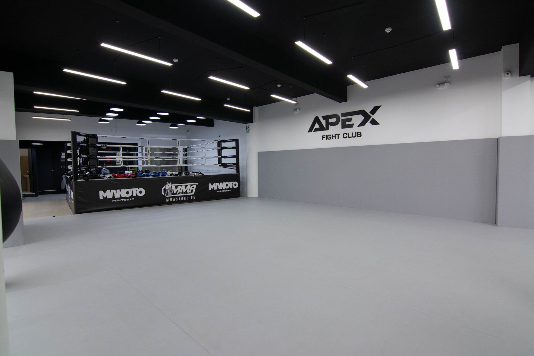 Main image of Apex Fight Club