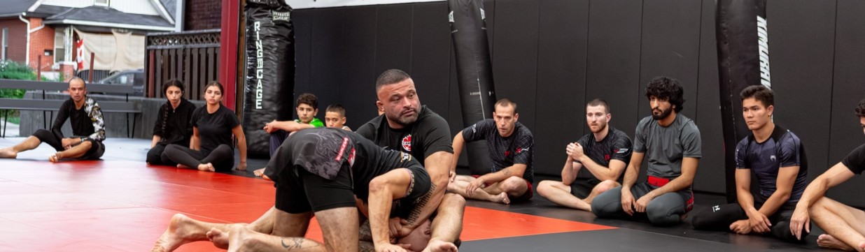 Main image of Apex MMA Silverback
