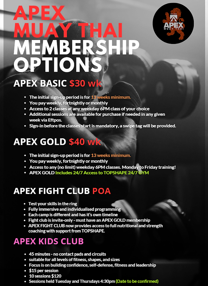 Main image of Apex Muay Thai