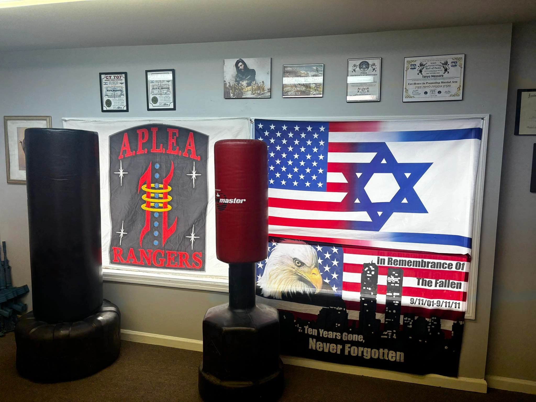 Main image of APLEA Krav Maga