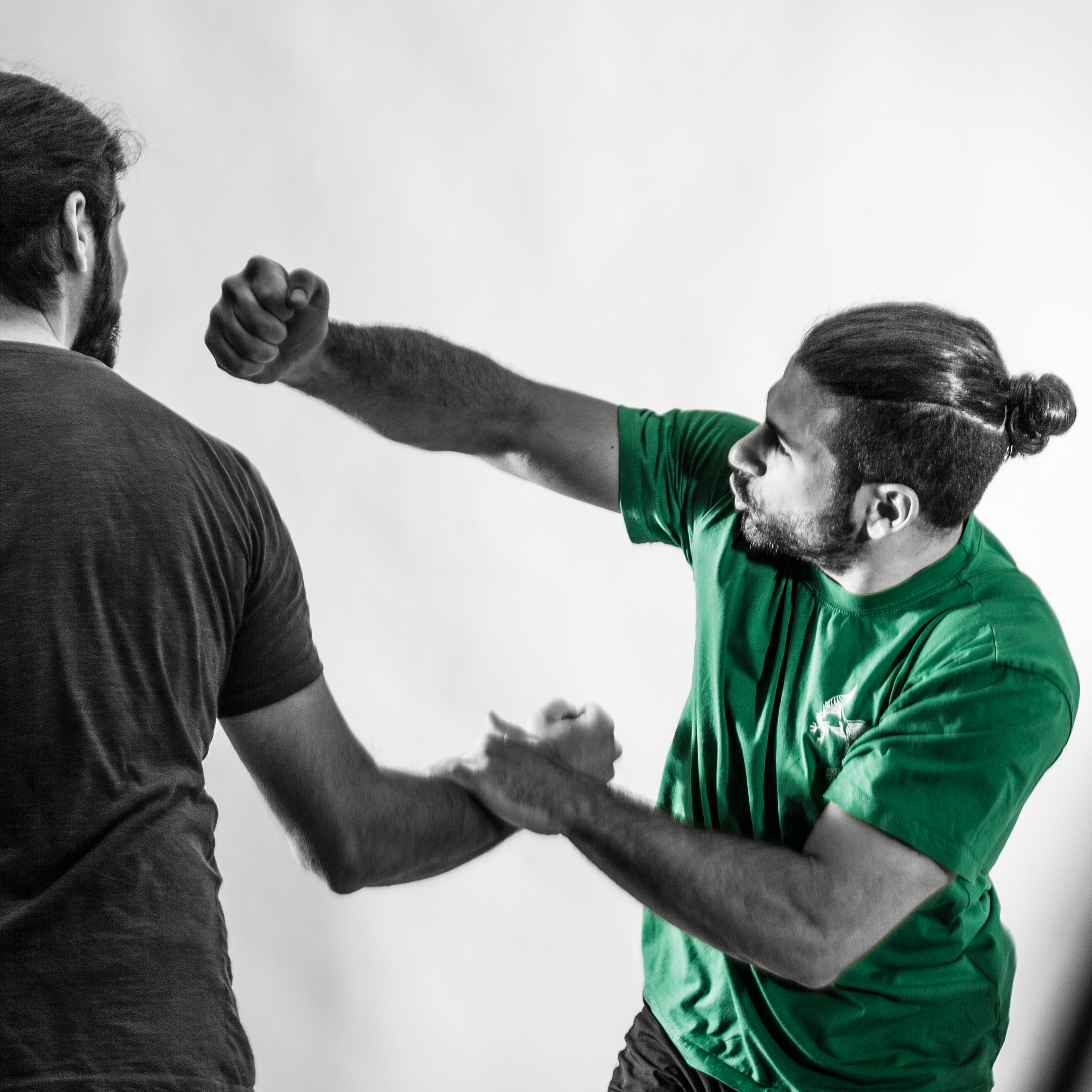 Main image of Applied Wing Chun Kung Fu