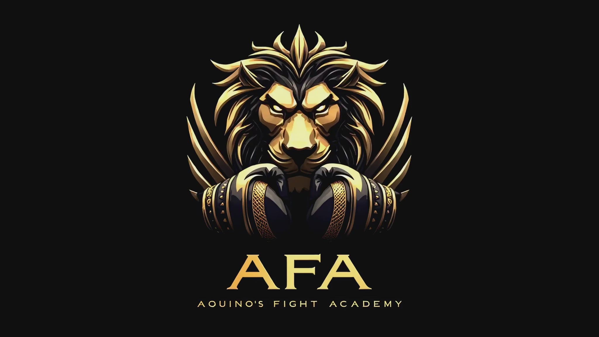 Main image of Aquinos Fight Academy