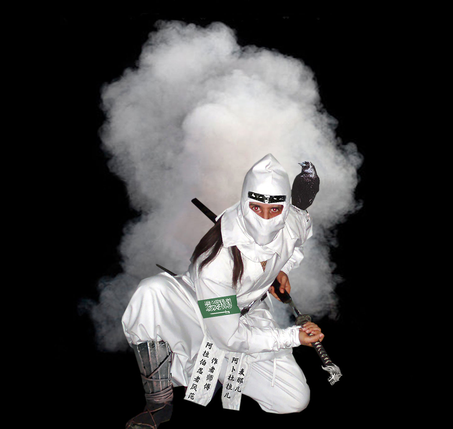 Main image of Arabian Ninja Dojo