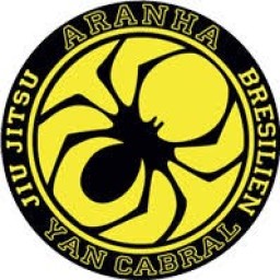 Main image of Aranha