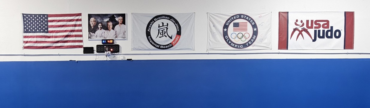 Main image of Arashi Brazilian Jiu-Jitsu and Judo