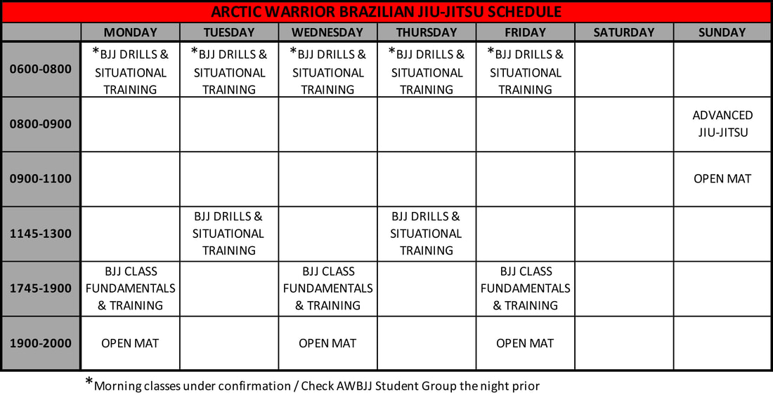 Main image of Arctic Warrior Brazilian Jiu-Jitsu