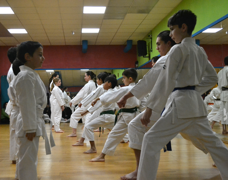 Main image of Area Karate Riva