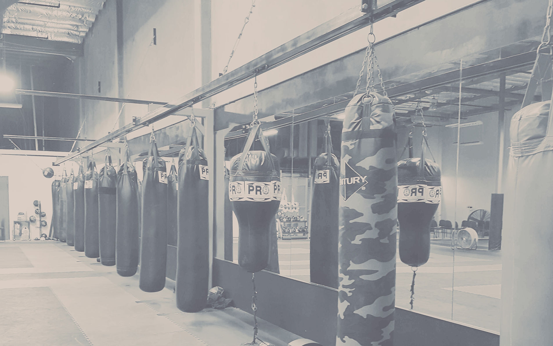 Arena BJJ Livermore