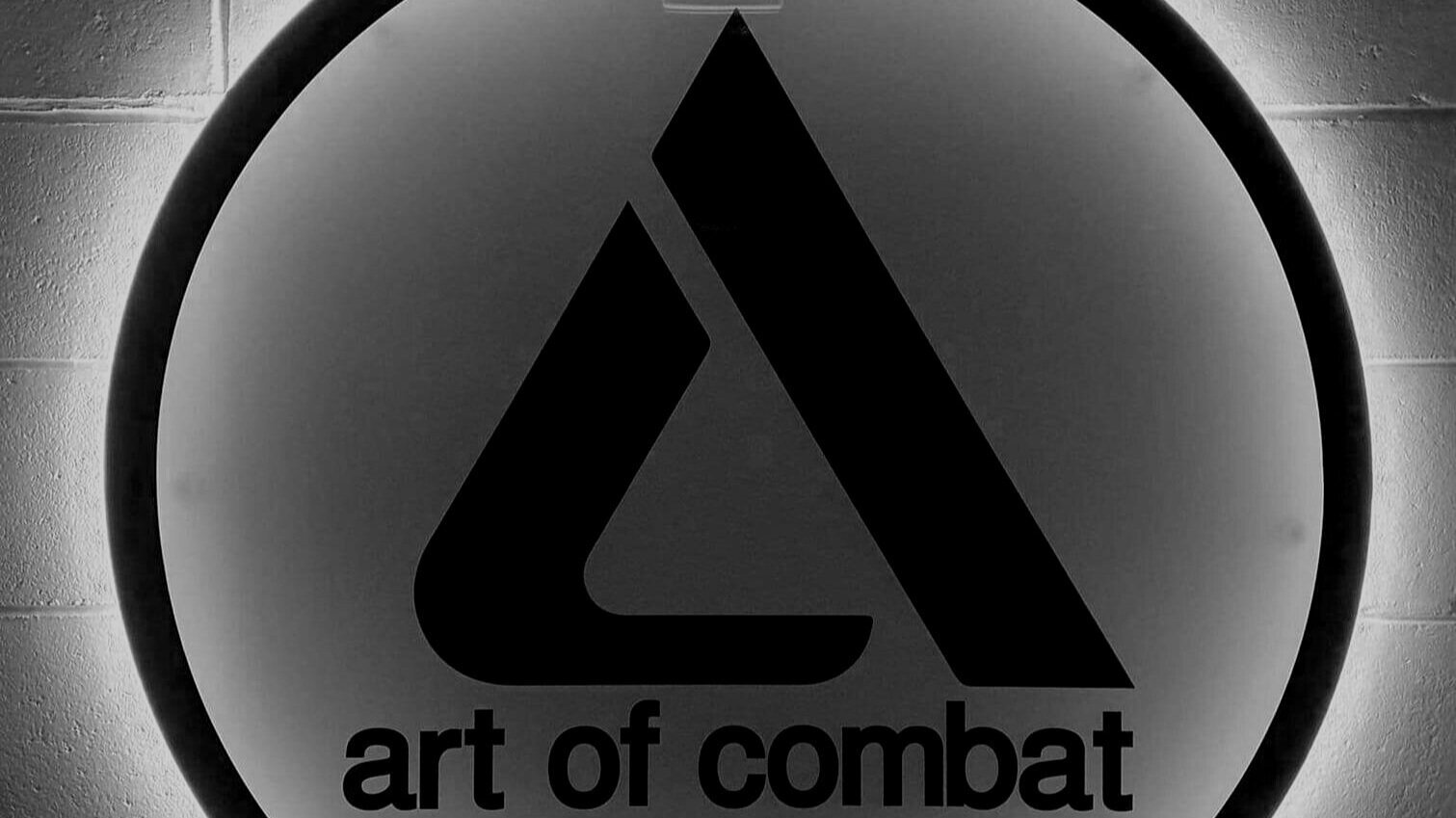 Main image of Art of Combat