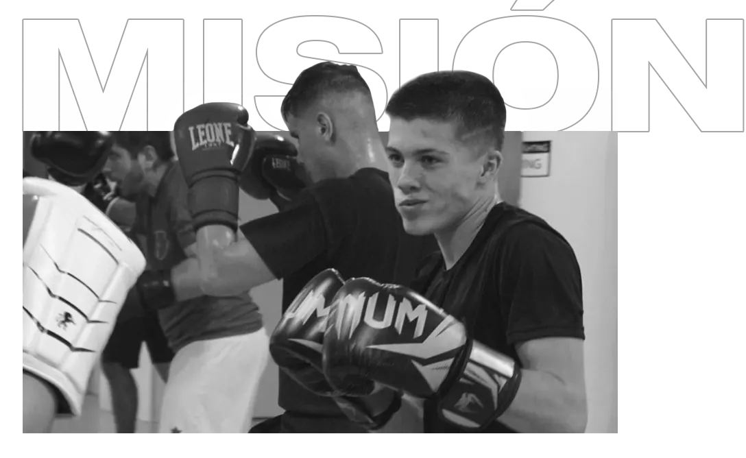 Art Of Fighting ( Aofribes )