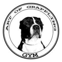 Main image of Art of Grappling Gym, Blessington