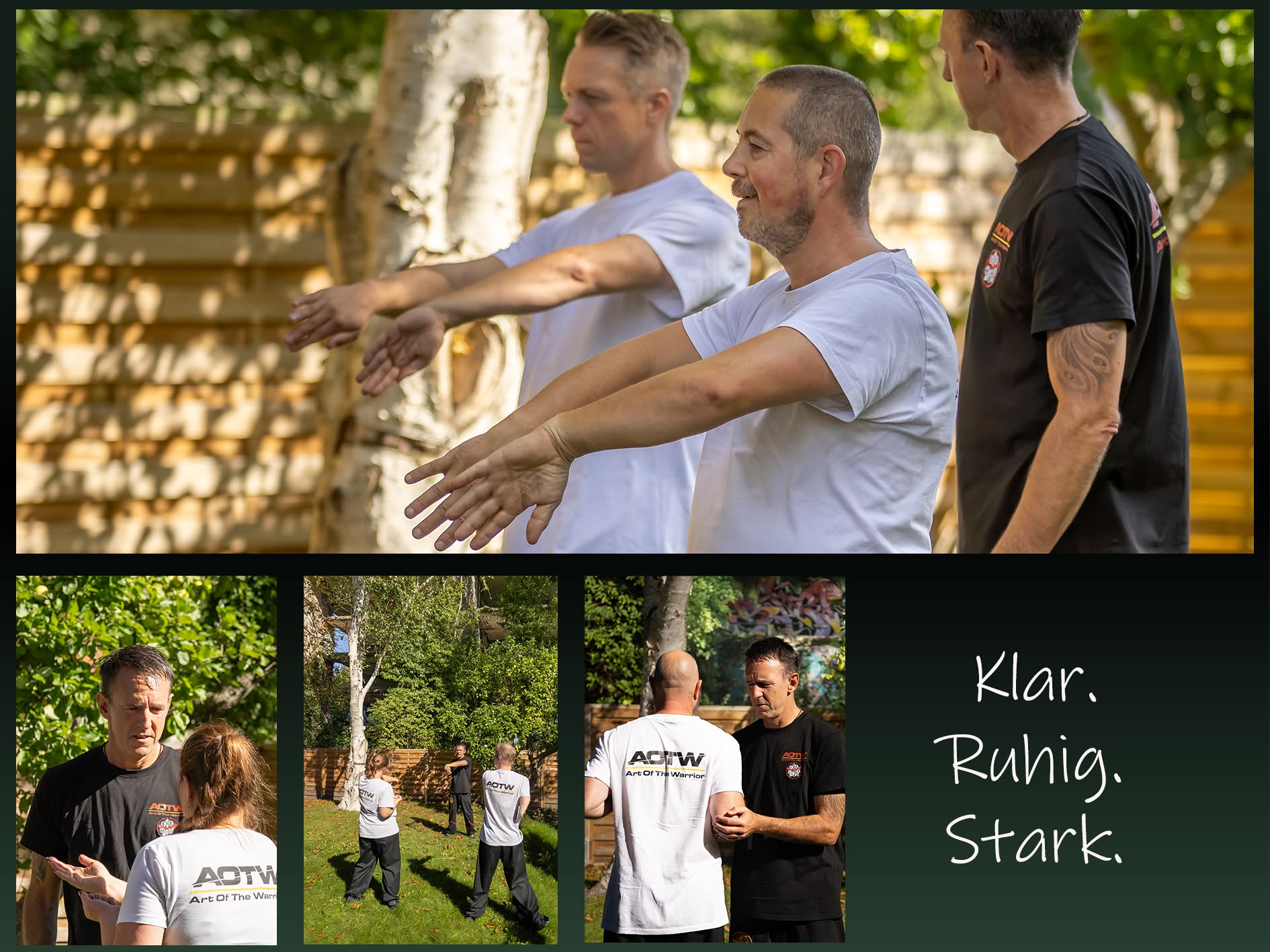 Main image of Art of the Warrior - WingChun