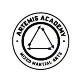 Main image of Artemis Academy