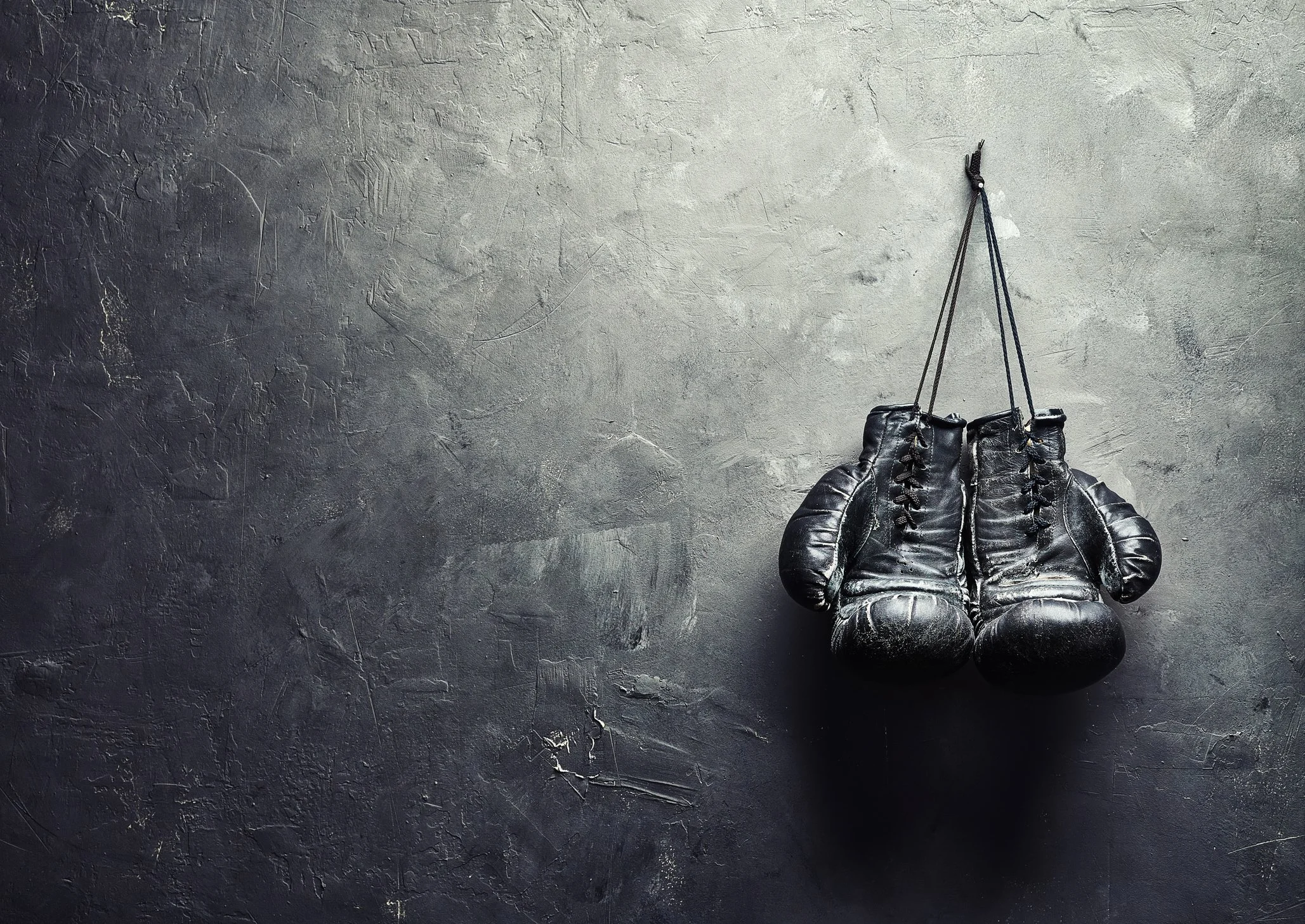 Artist Boxing Gym & Fitness academy photo