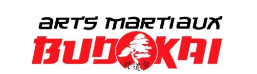 Main image of Arts Martiaux Budokai