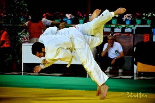 Main image of Asd Judo Kodokan Cesena 1966
