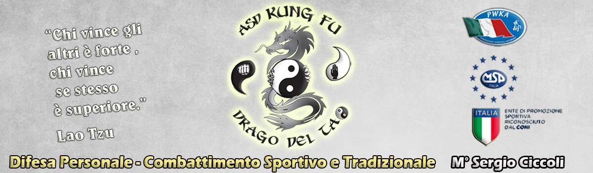 Main image of Asd Kung Fu Drago del Tao