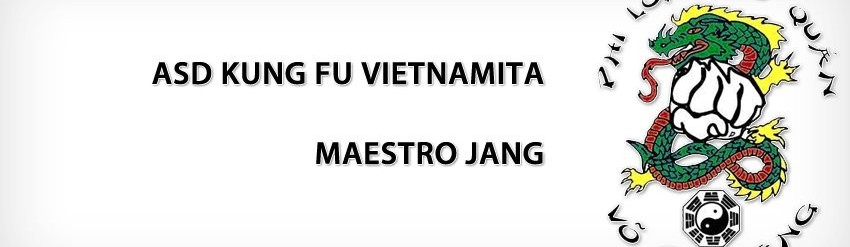 Main image of Asd Kung Fu Vietnamita Maestro Jang