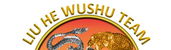Main image of Asd Liu he Wushu team