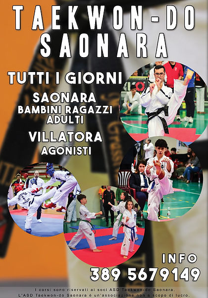 Main image of ASD Taekwondo Saonara