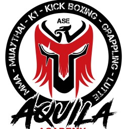 Main image of ASE Aquila Academy