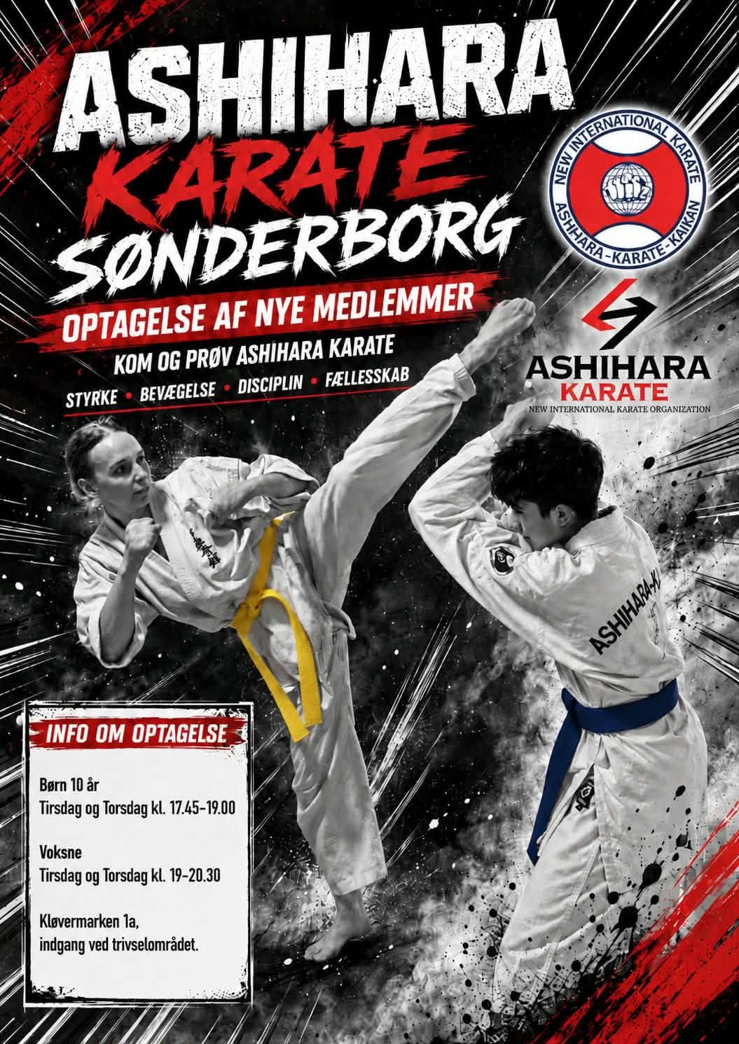 Main image of Ashihara Karate Sønderborg