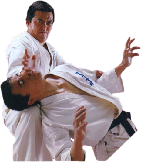 Main image of Ashihara Karate