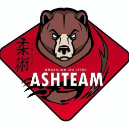Main image of ASHTEAM