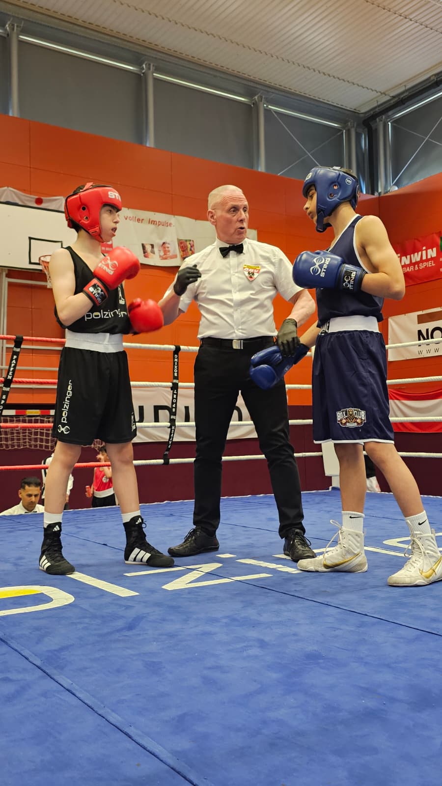 Main image of ASKÖ BoxClub WELS