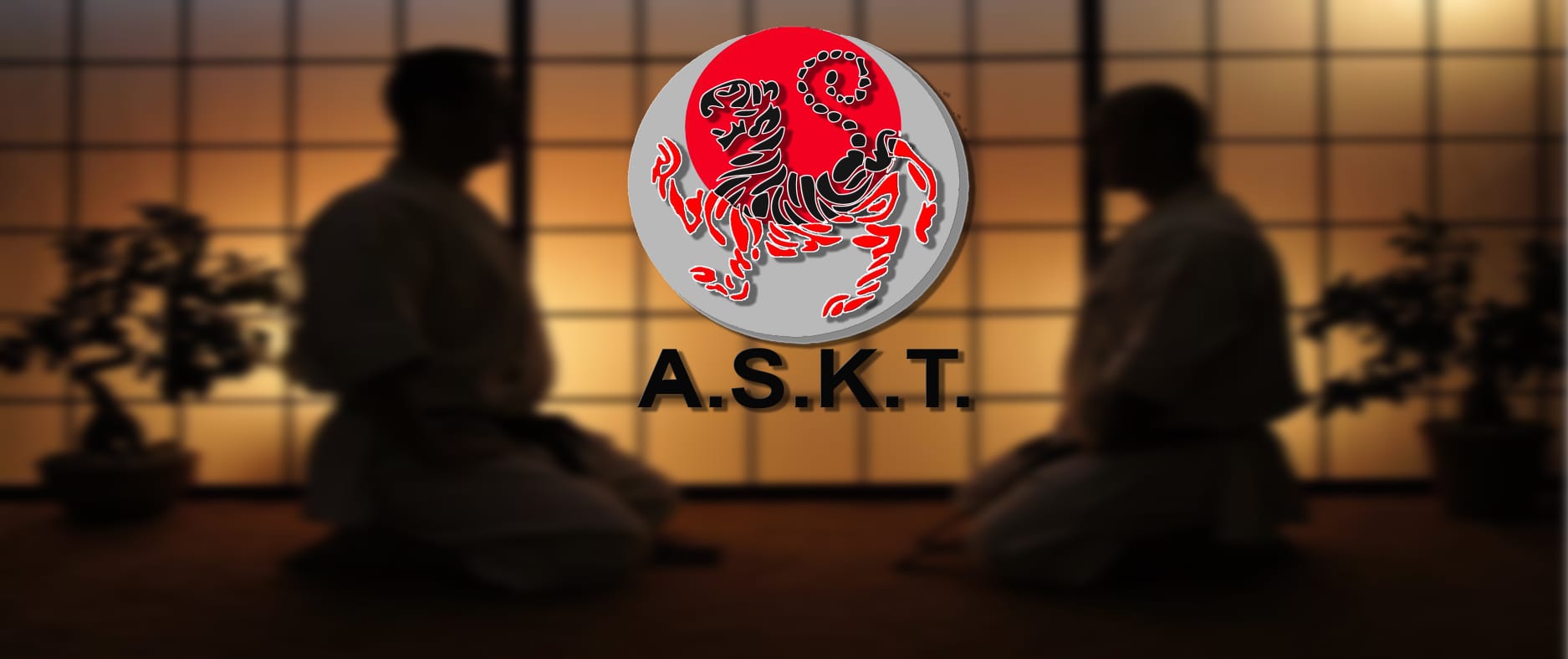 Main image of ASKT Asociación Shotokan Karatedo Tradicional.