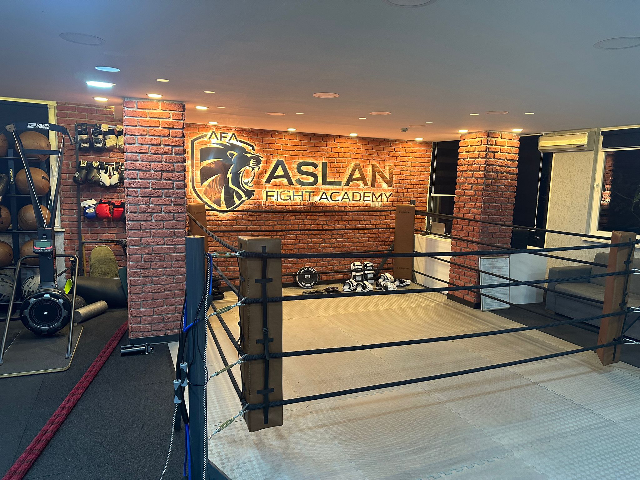 Main image of Aslan Fight Academy