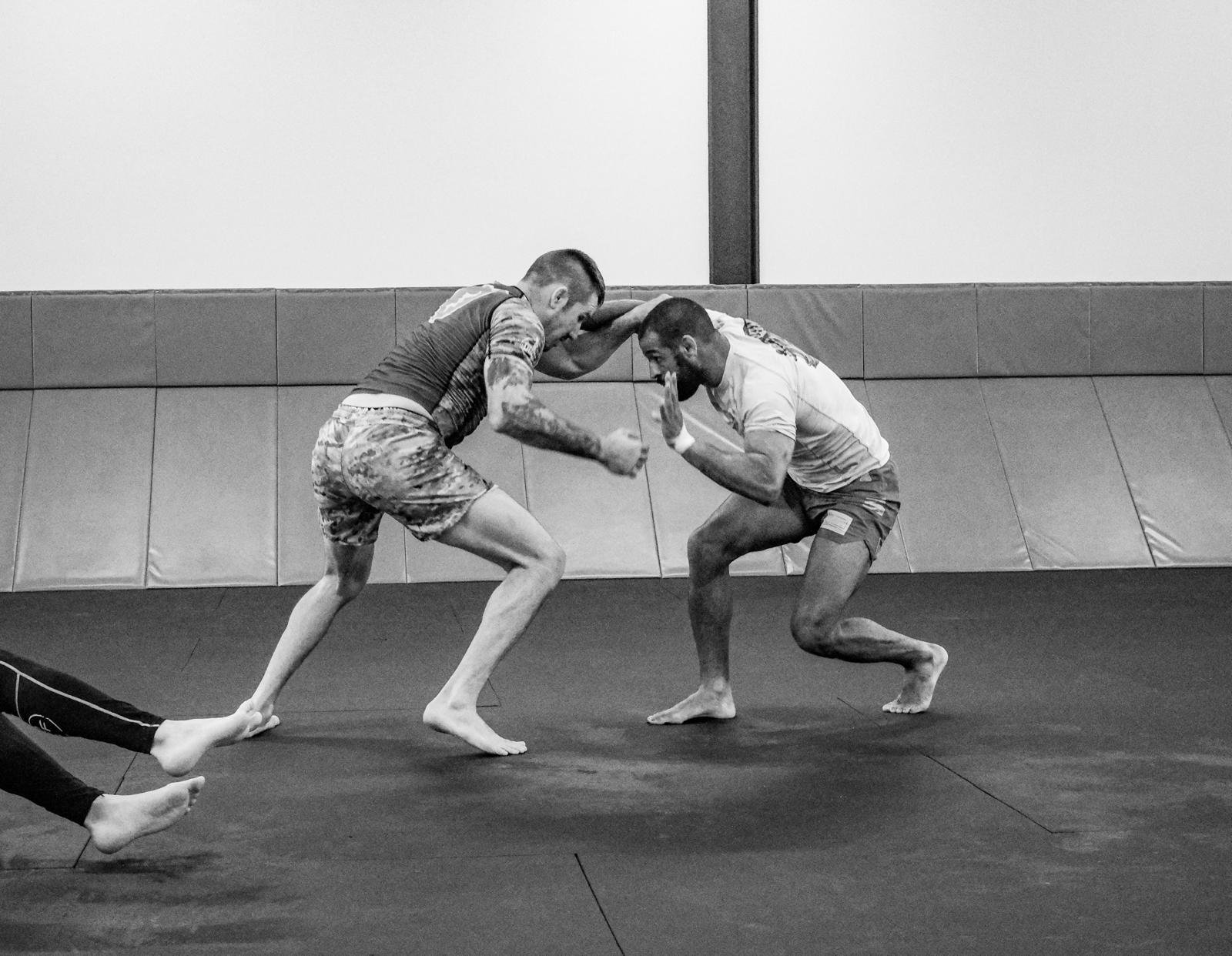 Main image of Assembly Jiu Jitsu Macomb