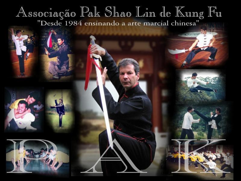 Main image of Associação Pak Shao Lin de Kung Fu e Tai Chi Chuan