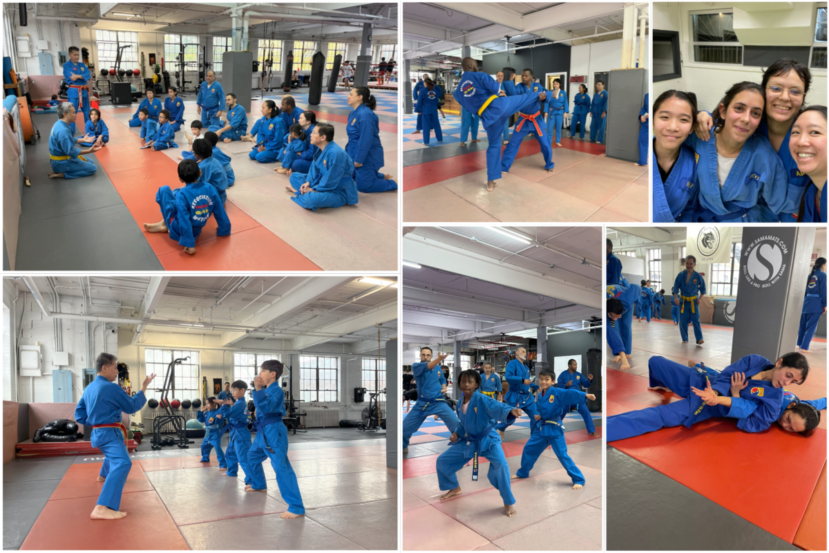 Main image of Association Vovinam Viet Vo Dao de Montreal