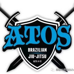 Main image of ATOS CHINA