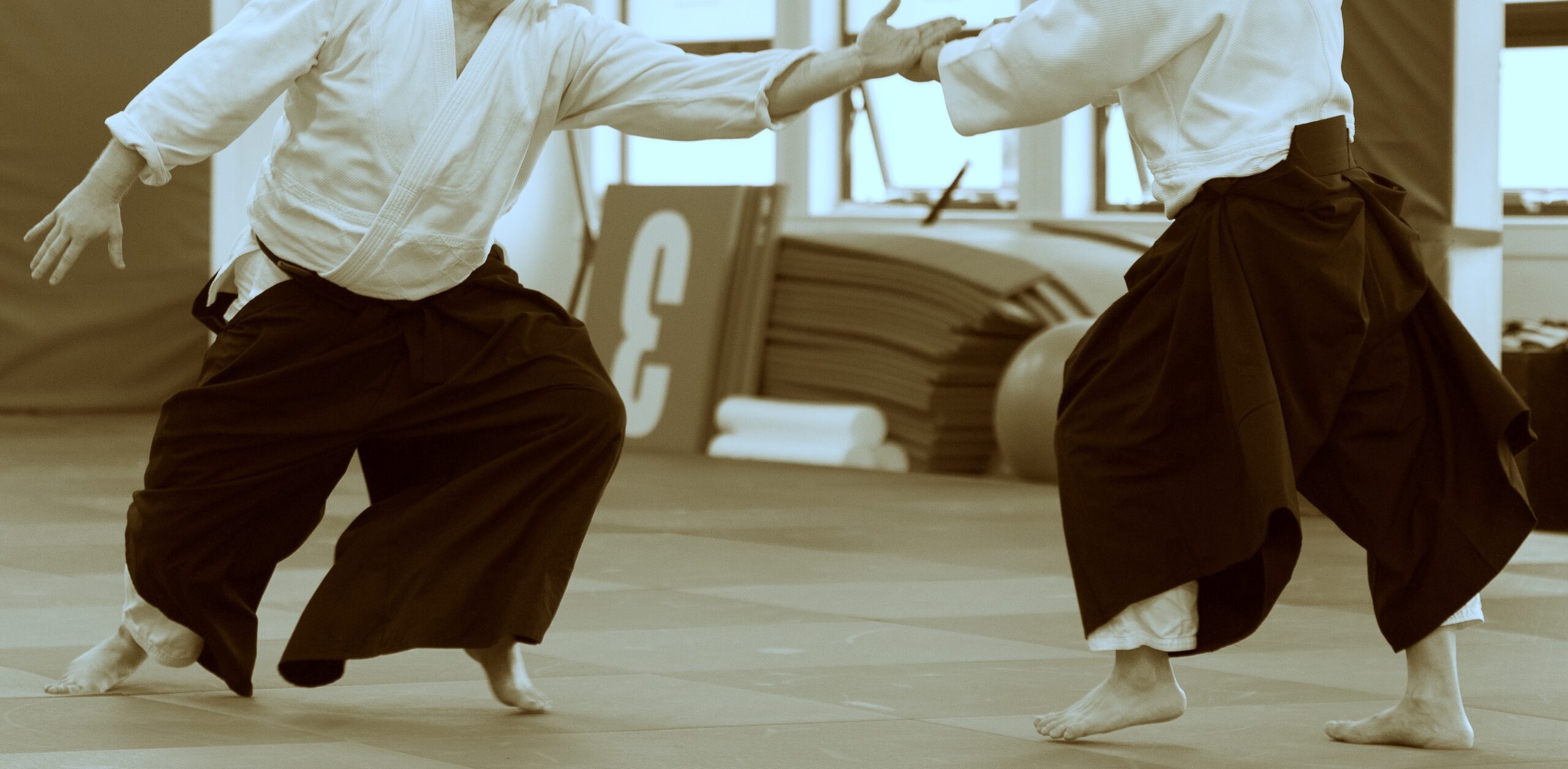 Main image of Azami-Kai Aikido Club