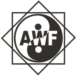 Main image of Azerbaijan wushu team